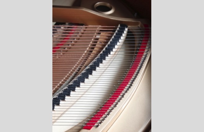 Steinhoven SG170 Polished Ebony Grand Piano - Image 5